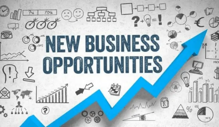 New Business Opportunities as a Career Option in India
