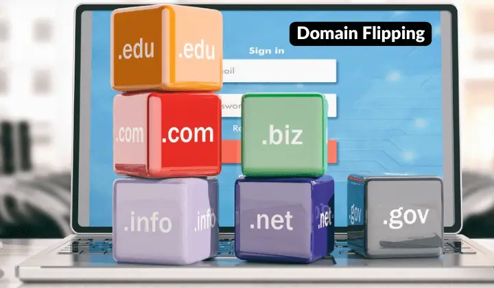 Domain Flipping Business